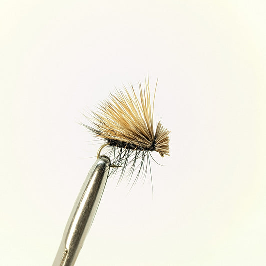 Elk Hair Caddis Black Fly fishing fly. Dry, subsurface and nymph flies for anglers and fisherman. All the flies you need for sale online. Flies to buy online. Online fly fishing supplies. Catch fish with flies from Frontier Flies.