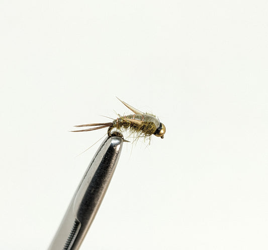 Evil Weevil Emerger Fly fishing fly. Dry, subsurface and nymph flies for anglers and fisherman. All the flies you need for sale online. Flies to buy online. Online fly fishing supplies. Catch fish with flies from Frontier Flies.