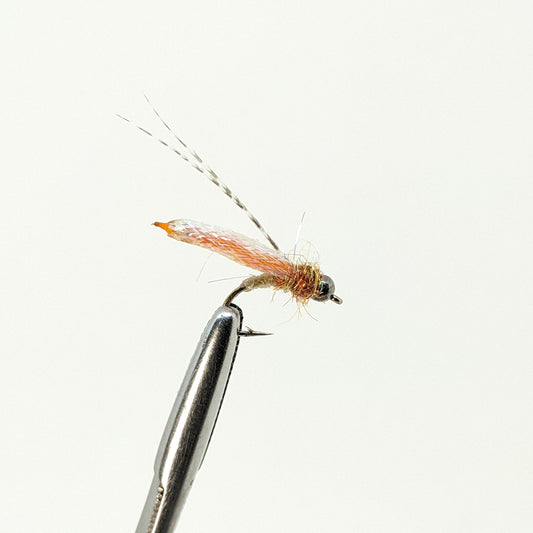 Fox Pupa Bead Head Flash Fly fishing fly. Dry, subsurface and nymph flies for anglers and fisherman. All the flies you need for sale online. Flies to buy online. Online fly fishing supplies. Catch fish with flies from Frontier Flies.