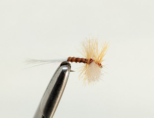 Mayfly Spinner Brown Fly fishing fly. Dry, subsurface and nymph flies for anglers and fisherman. All the flies you need for sale online. Flies to buy online. Online fly fishing supplies. Catch fish with flies from Frontier Flies.