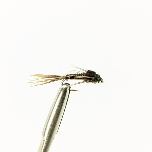 Nymphomaniac Black Fly fishing fly. Dry, subsurface and nymph flies for anglers and fisherman. All the flies you need for sale online. Flies to buy online. Online fly fishing supplies. Catch fish with flies from Frontier Flies.