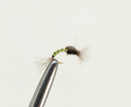 Blue Winged Olive Emerger  Fly fishing fly. Dry, subsurface and nymph flies for anglers and fisherman. All the flies you need for sale online. Flies to buy online. Online fly fishing supplies. Catch fish with flies from Frontier Flies.