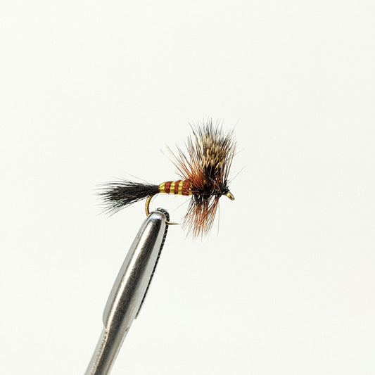 EGG SUCKING LEECH BH - BLACK  FRONTIER FLIES - THE BEST FLY FISHING FLIES  ONLINE – frontierflies