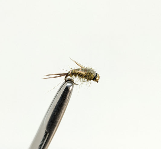 Evil Weevil Emerger  Fly fishing fly. Dry, subsurface and nymph flies for anglers and fisherman. All the flies you need for sale online. Flies to buy online. Online fly fishing supplies. Catch fish with flies from Frontier Flies.