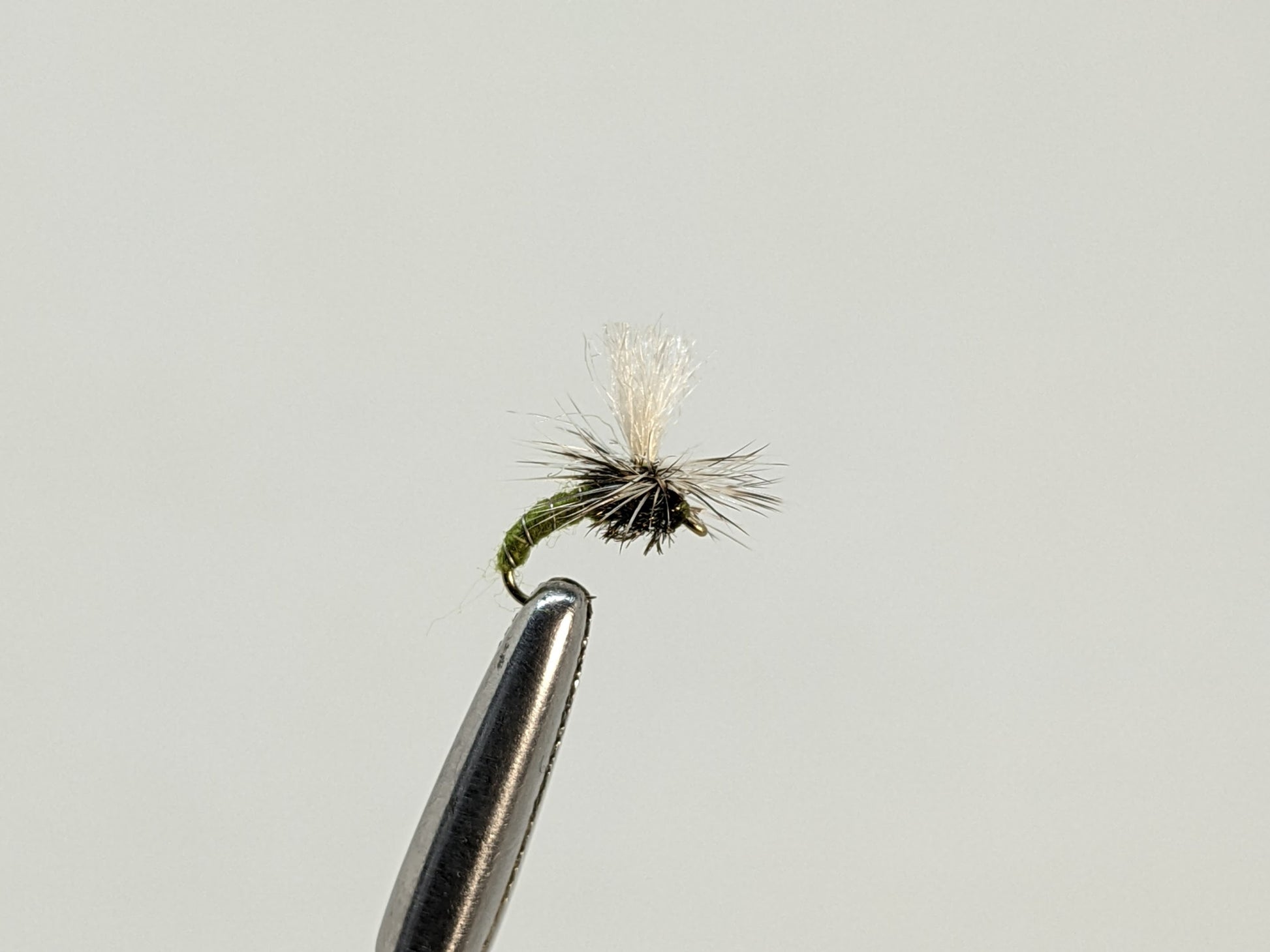 KLINKHAMMER - OLIVE – frontierflies