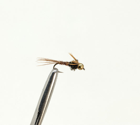 Pheasant Tail Bead Head Fly fishing fly. Dry, subsurface and nymph flies for anglers and fisherman. All the flies you need for sale online. Flies to buy online. Online fly fishing supplies. Catch fish with flies from Frontier Flies.